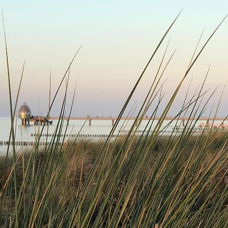 Ferienhaus Strandoase Zingst Buitenkant foto