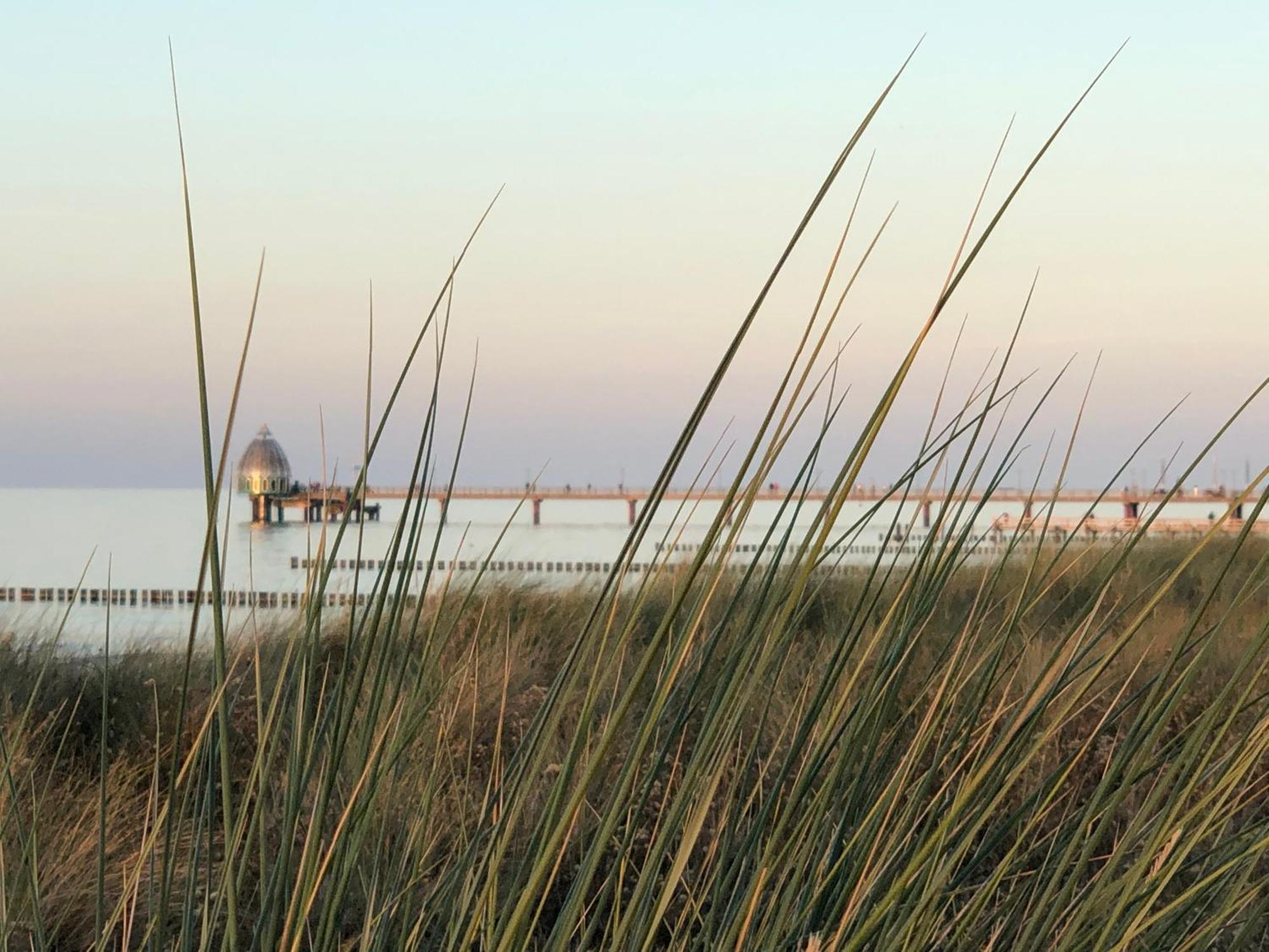 Ferienhaus Strandoase Zingst Buitenkant foto